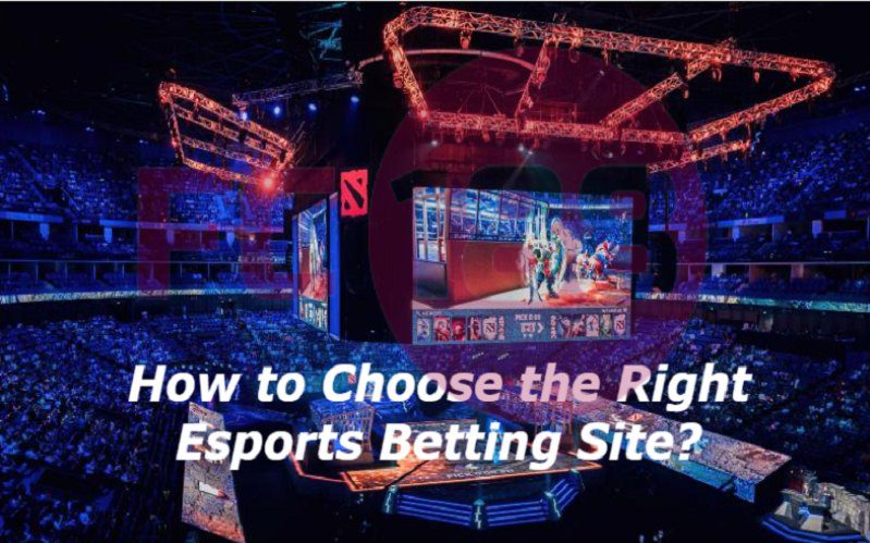 How to Choose the Right Esports Betting Site?